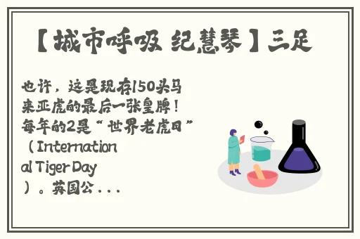 菠萝蜜一线二线三线品牌